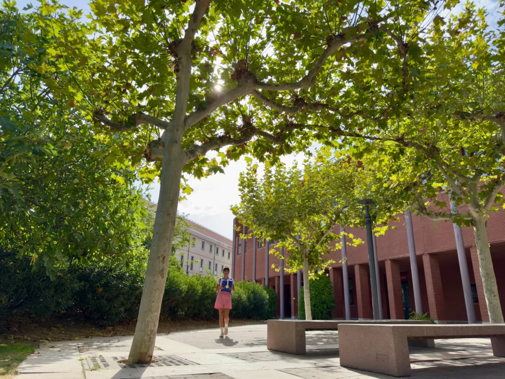 How Early College Readiness Programs Help Students Achieve Success