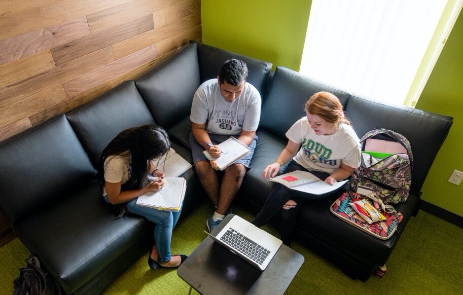 University of North Texas at Dallas